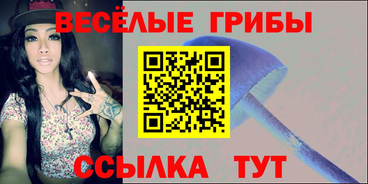 Псилоцибиновые грибы Cubensis  Вход с VPN  Зеленогорск  Галлюциногенные грибы MAGIC MUSHROOMS 